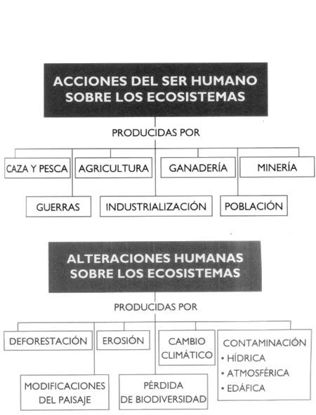 Acciones humanas e influencia en los cambios ambientales